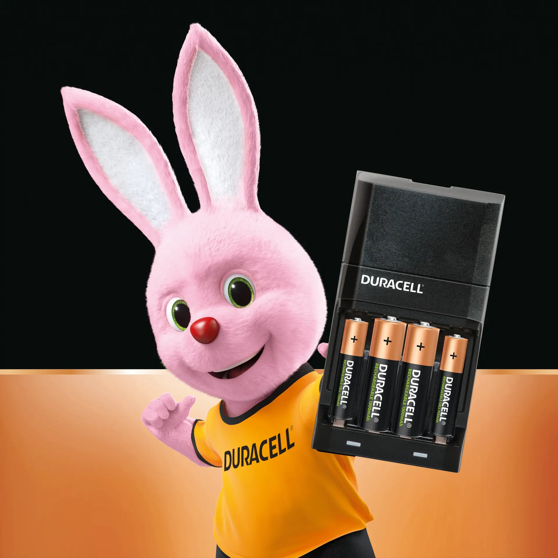 Duracell 45 Minutes Battery Charger with 2 AA and 2 AAA Batteries - view 4